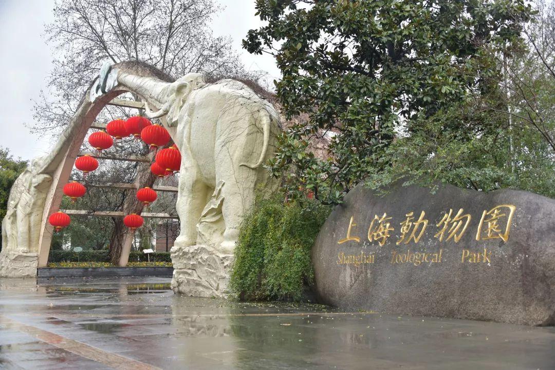 上海野生动物园招聘职位（上海动物园是国企吗）