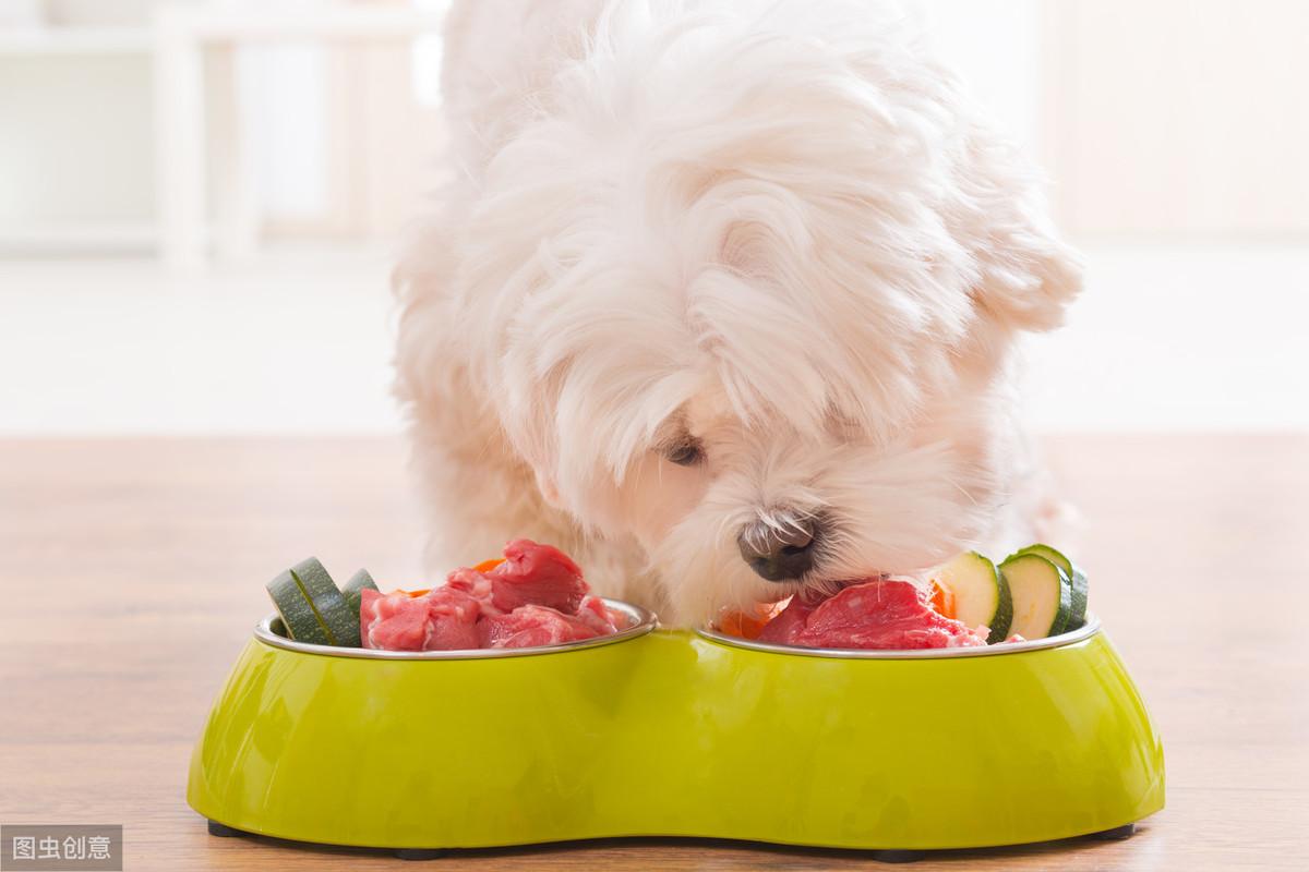 狗能吃白萝卜吗为什么（狗可以吃白萝卜吗熟的）